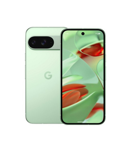 Google Pixel 9 Price in Sri Lanka